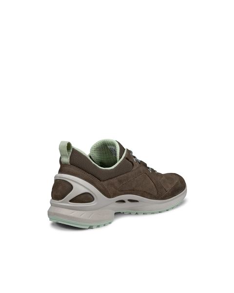 ECCO Biom Energi Brown