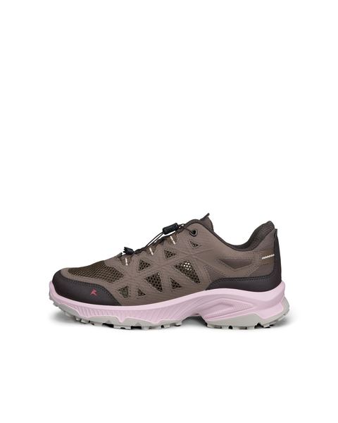 ECCO Receptor Xp Brown