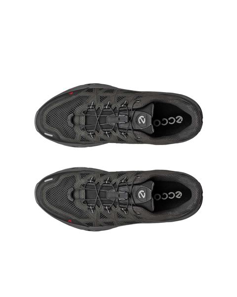 ECCO Receptor Xp Black
