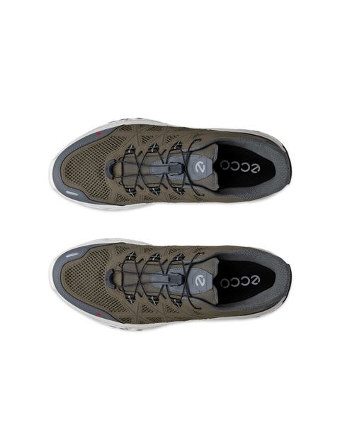 ECCO Receptor Xp Green