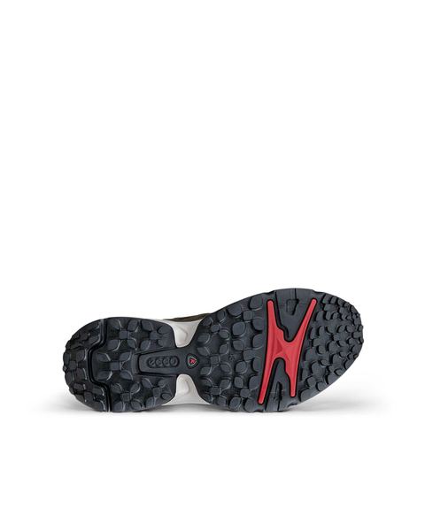 ECCO Receptor Xp Green