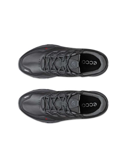 ECCO Receptor Xp Black