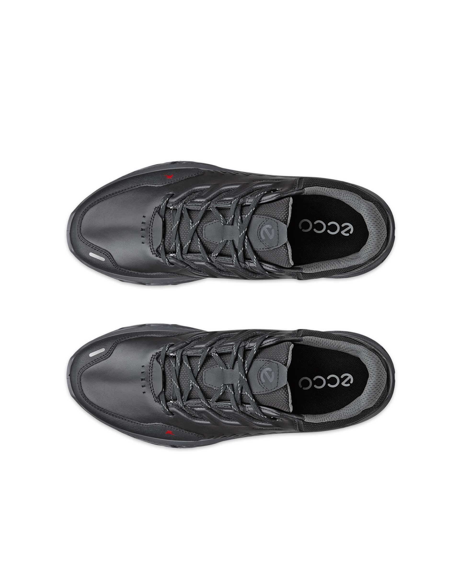 ECCO Receptor Xp Black