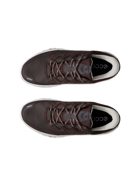 ECCO Receptor Xp Brown