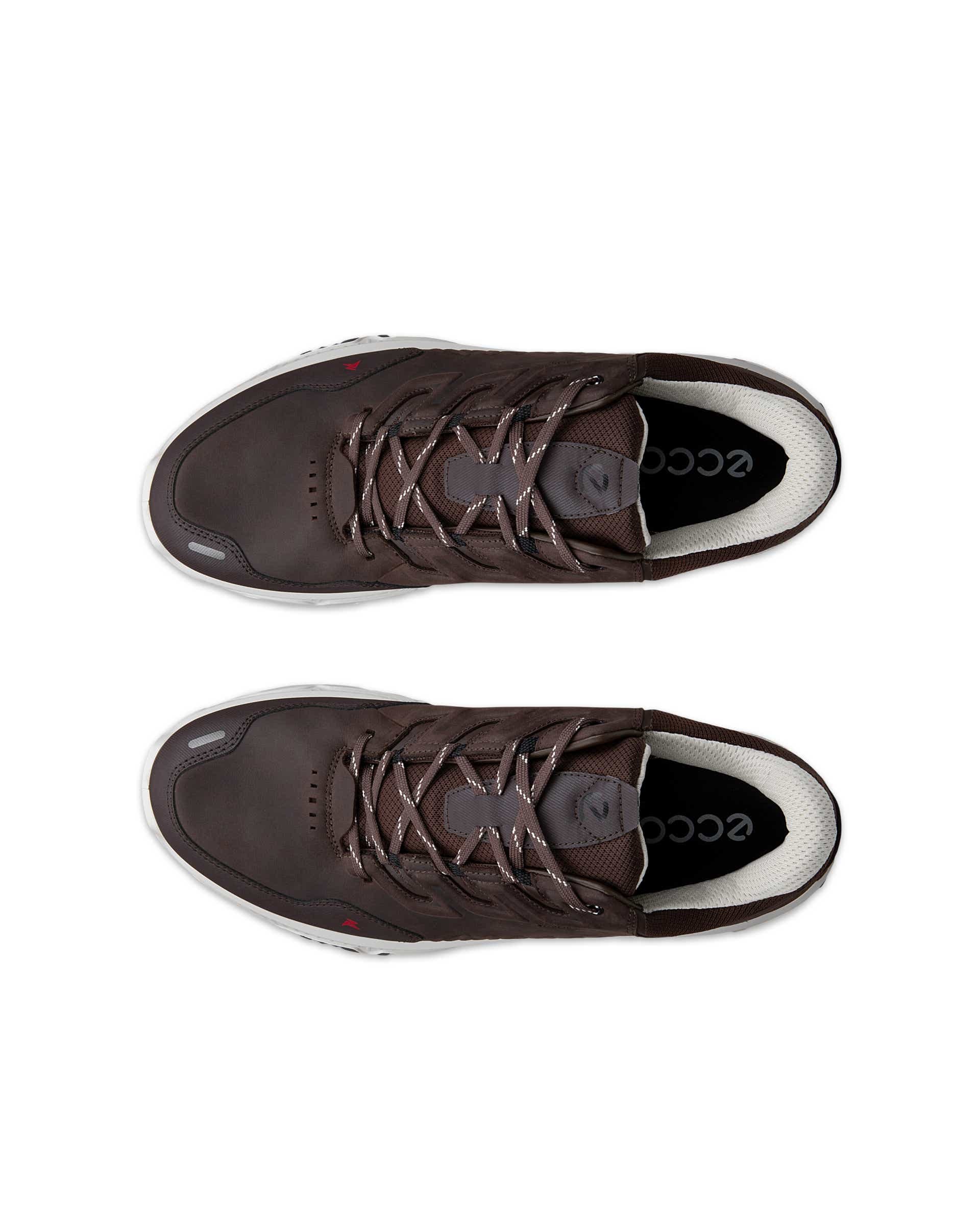 ECCO Receptor Xp Brown