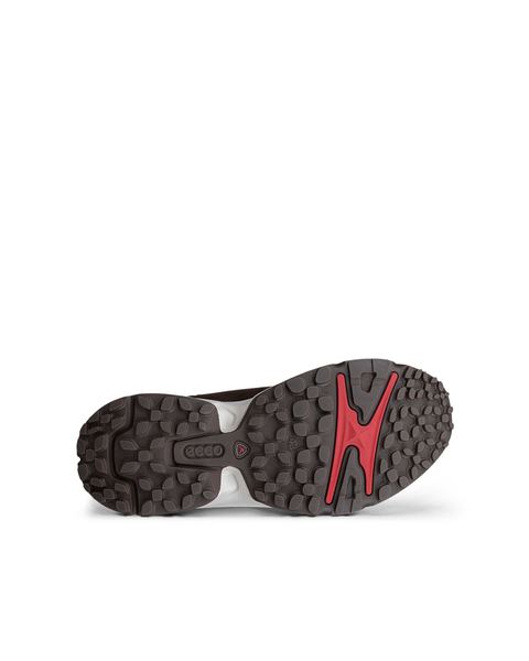 ECCO Receptor Xp Brown