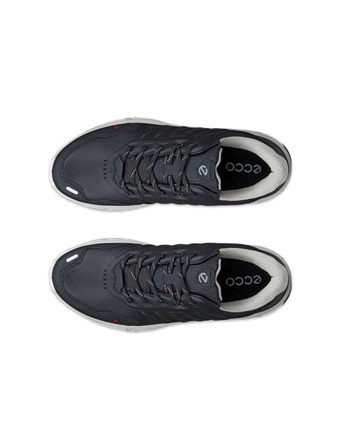 ECCO Receptor Xp Black