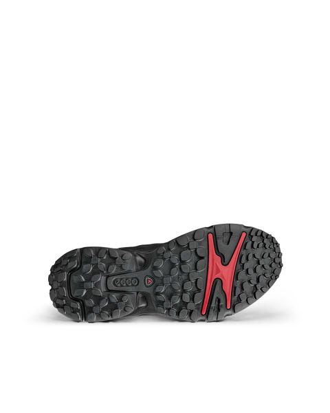 ECCO Receptor Xp Black