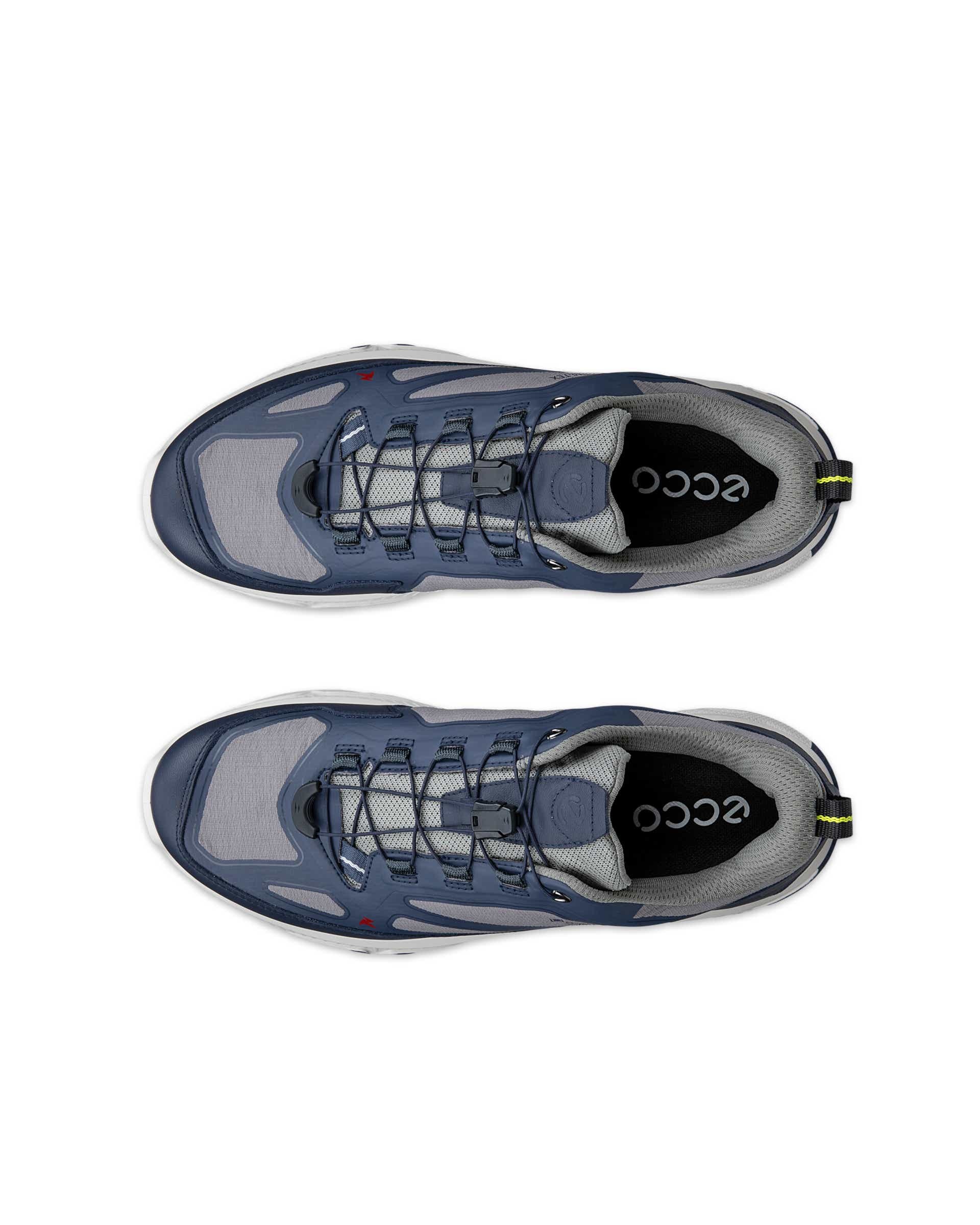 ECCO Receptor Xp Blue