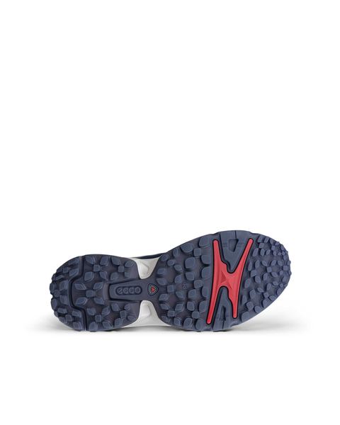 ECCO Receptor Xp Blue