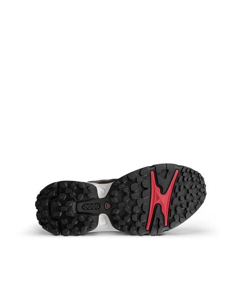 ECCO Receptor Xp Brown