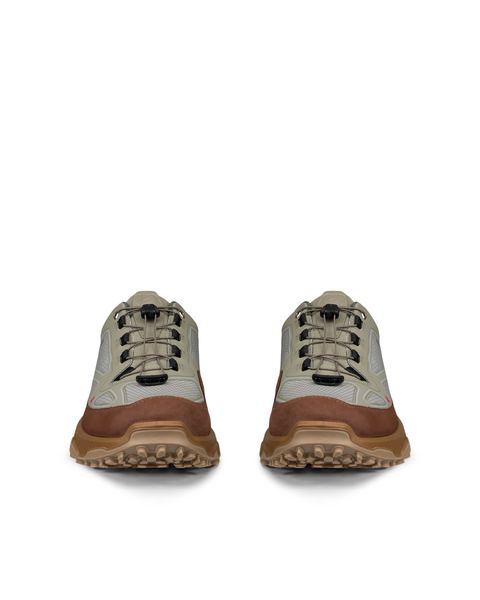 ECCO Receptor Xp Green
