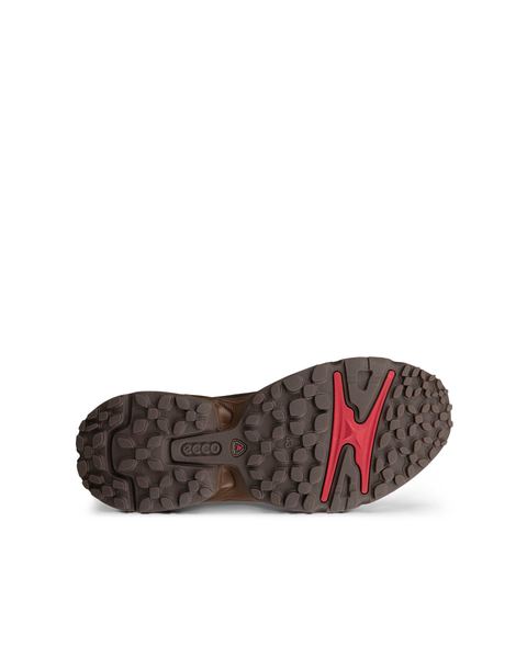 ECCO Receptor Xp Gray