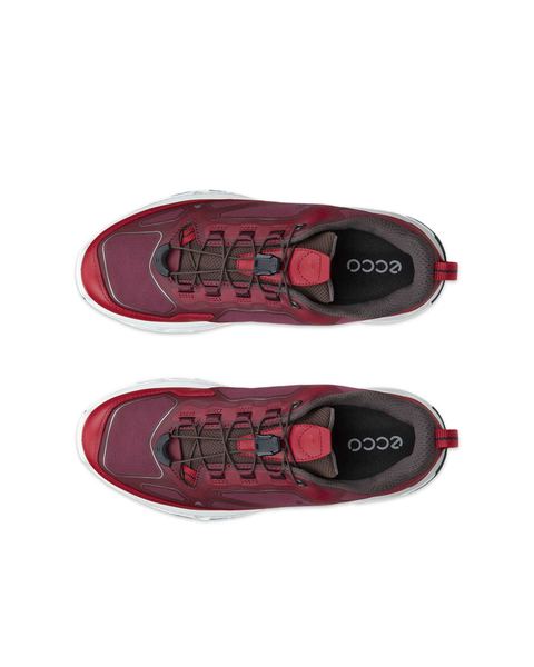 ECCO Receptor Xp Red