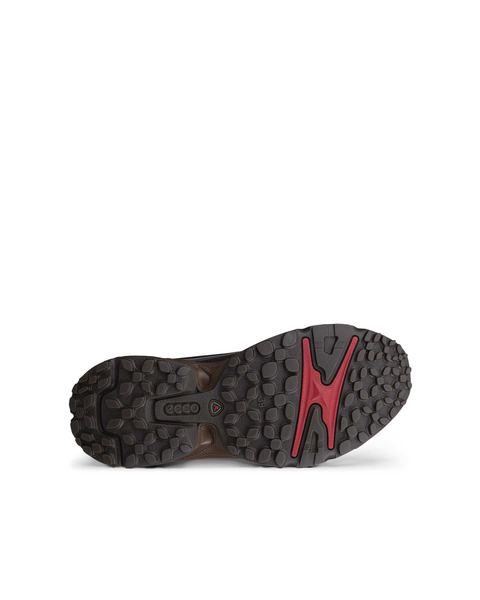 ECCO Receptor Xp Gray