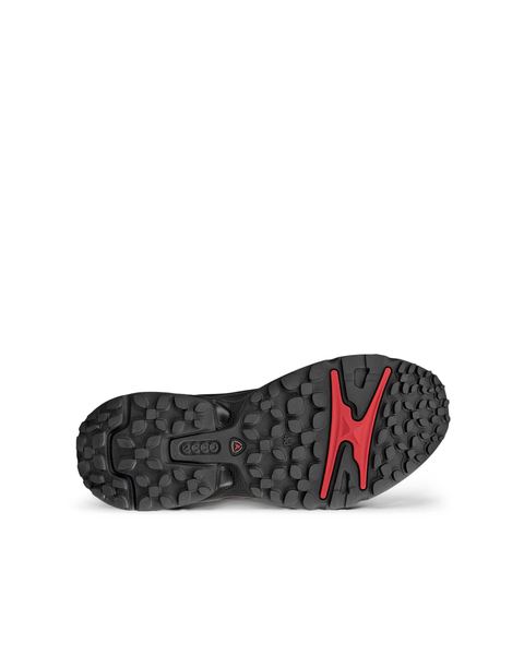 ECCO Receptor Xp Black