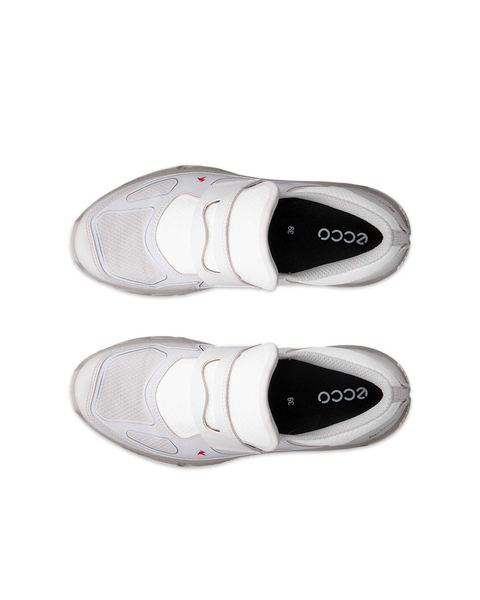 ECCO Receptor Xp Gray