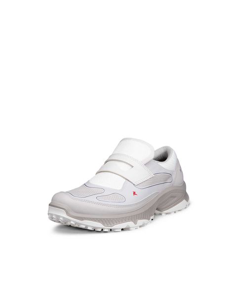 ECCO Receptor Xp Gray