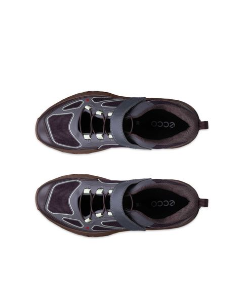 ECCO Receptor Xp Gray