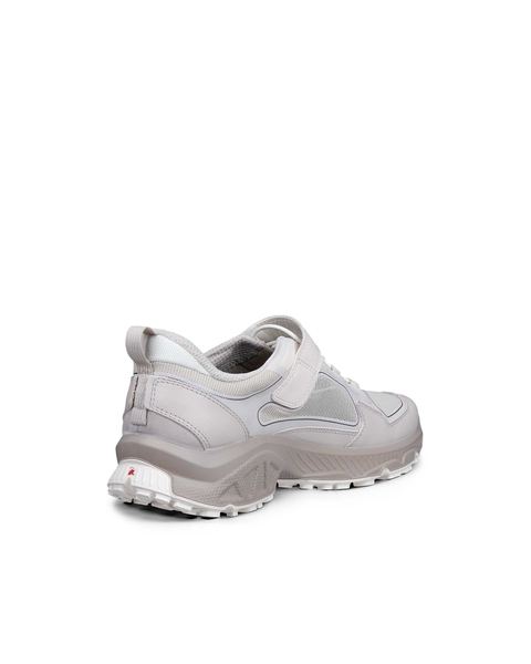 ECCO Receptor Xp Gray