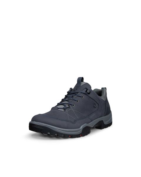 ECCO Receptor Trekk Blue
