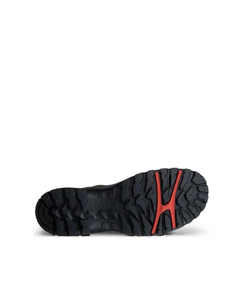 ECCO Receptor Trekk Brown